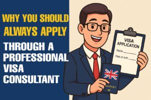 Why You Should Always Apply Through a Professional Visa Consultant