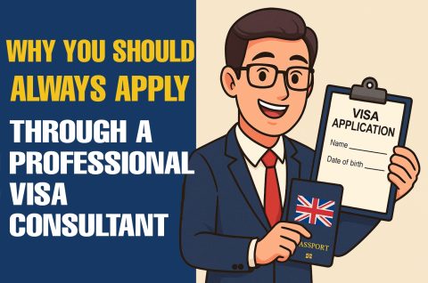 Why You Should Always Apply Through a Professional Visa Consultant